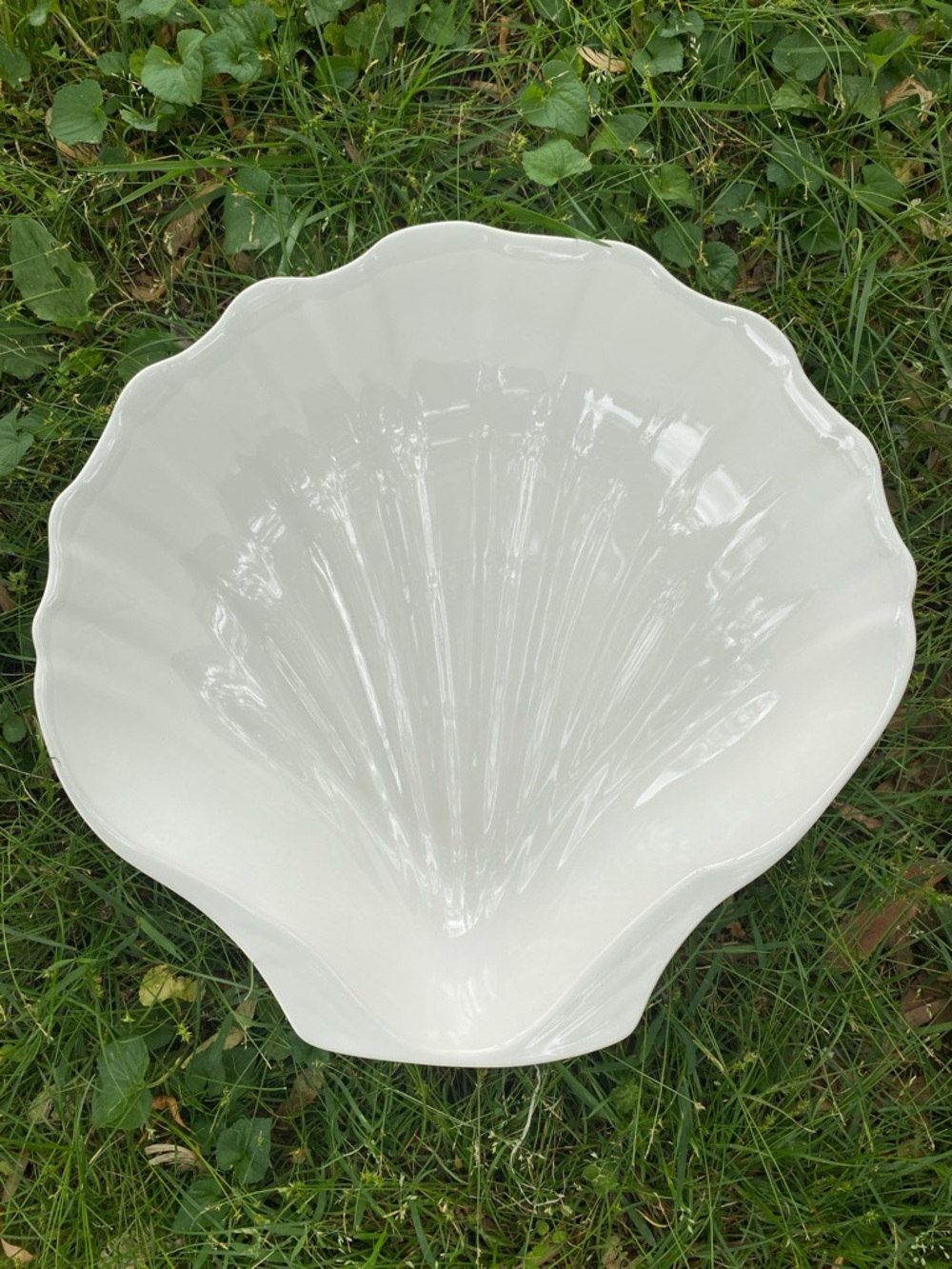 White Shell-Shaped Decorative Bowl - Picture 4 of 5
